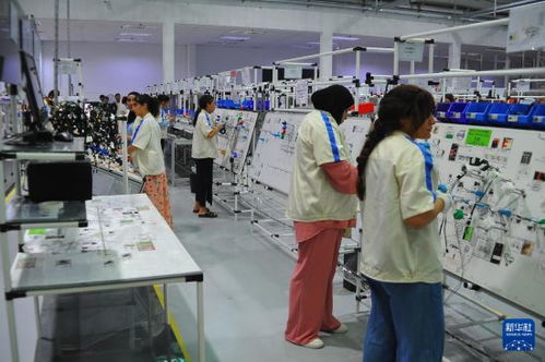 突尼斯工業部長 期待與中國深化汽車行業合作與教育投資